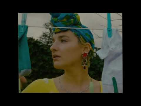 Laura Roy | Rainbows & Butterflies