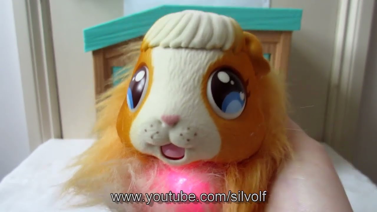 Watch video Mama Surprise Guinea Pig - Can YouTrick the Hutch Now Mama Surprise Guinea Pig - Can YouTrick the Hutch