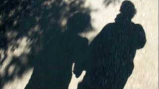 Shadow Stalker: Shadow Lover - Mercedes Lackey