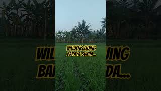 Download lagu Wilujeng enjing baraya sunda.. mp3 Download lagu Wilujeng enjing baraya sunda.. mp3