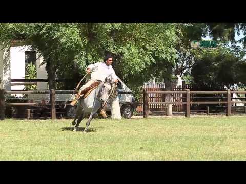 VIDEO TORDILHA FAUSTO COSTA-YouTube sharing