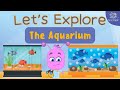 Let S Explore The Aquarium For Kindergarten EYFS