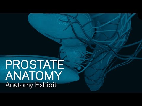 Prostatitis gravitáció