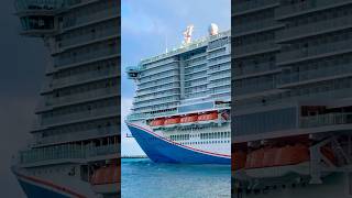 Carnival Celebration 🛳️ #share #like #subscribe #comment #cruise #vacation #shortvideo #shortsvideo