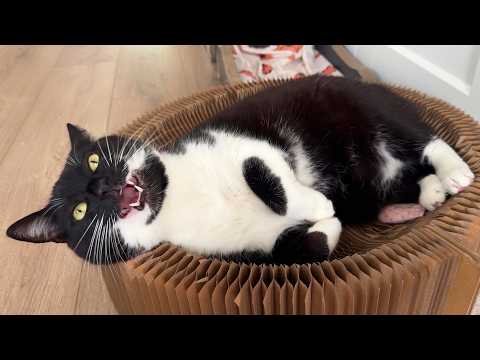 YouTube 썸네일