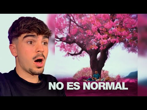 REACCION a Zakyo - perfecto (Video Oficial) #Wonderland