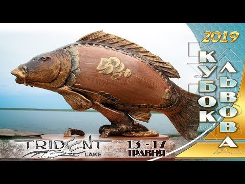 Кубок Львова 2019 + Тренувальний етап до ЧУ 2019