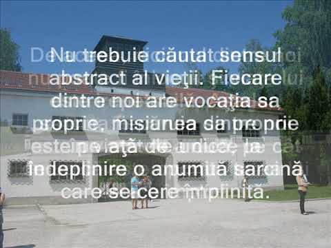 Omul in cautarea sensului vietii.wmv