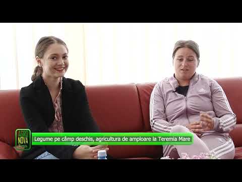 AGRO NOVA Legume pe câmp deschis, agricultura de amploare la Teremia Mare