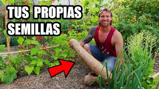 Como Conseguir Semillas para tu Huerto Ecologico🌱