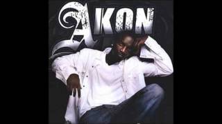 Akon - Party Animal (lyrics)