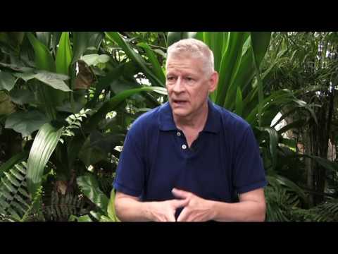 Wer war Bruno Manser?