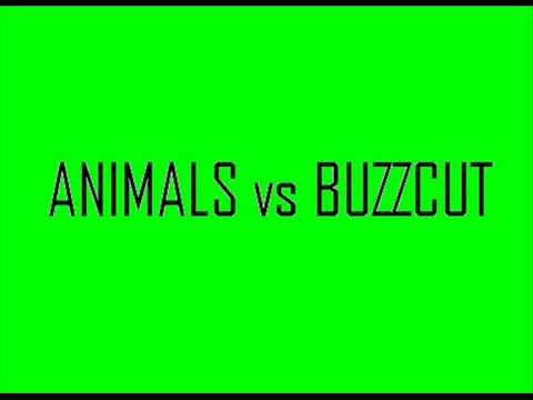 Animals vs Buzzcut