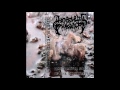 Disemboweled Children Disharmonic Songs Of The Mush 2017 Full Album Mincecore Goregrind