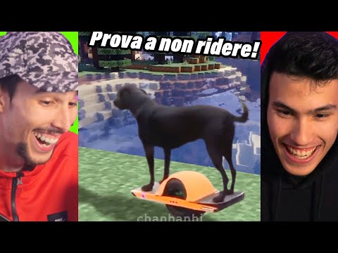 Prova A Non Ridere Challenge!!  *Brothers Edition 2!*