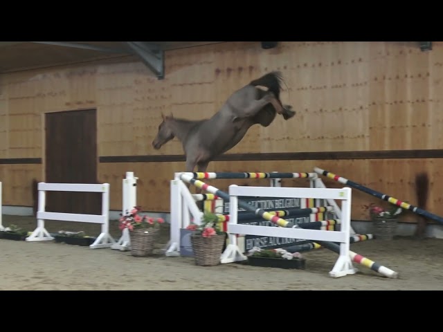 Jumping