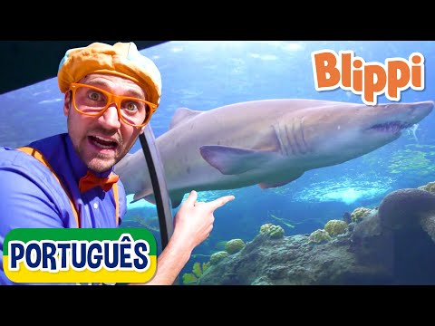 Blippi Visita um Aquário (Ody Aquarium) | 1 HORA DE BLIPPI BRASIL! | Vídeos Educativos para Crianças