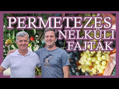 , title : 'Permetezés nélküli szőlő fajták - Beszélgetés Dr. Bakonyi Lászlóval'