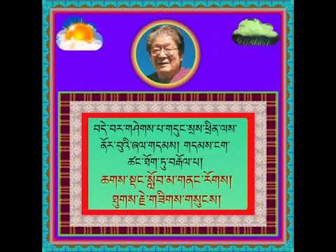 rare teaching of H.H Dungse thinley norbu rinpoche