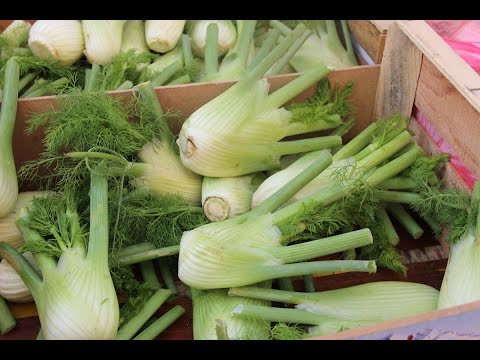 Recette Velouté de fenouil et orange