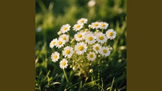 Download lagu Lentera Pada Langit Rumah mp3