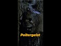 Did You Know In Poltergeist