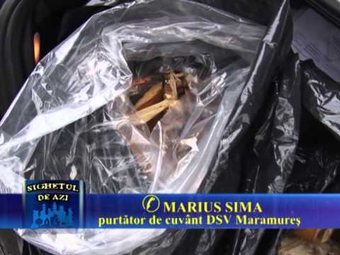 Sighetul de Azi 23 Ianuarie 2013 - Trichineloza Un risc real in Maramures P1