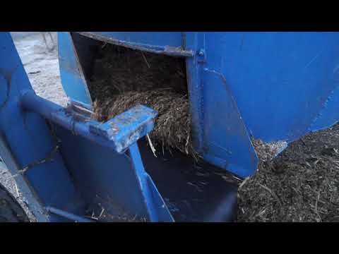 Wysyp TMR-u z paszowozu