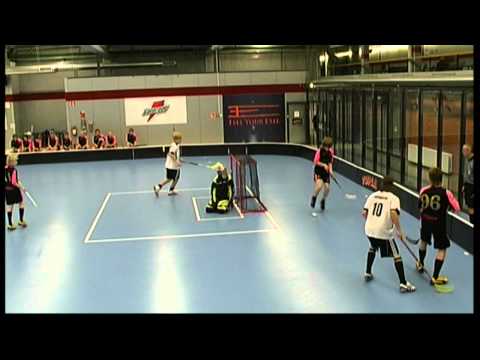 hirvhe_leisku150111.avi