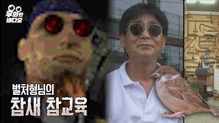 Download lagu 스타크래프트 벌처  도플갱어의 참새 참교육! 멘사 가입한 줄?┃Intelligent Sparrow Understands Owner’s Words mp3