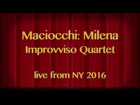 Maciocchi: Milena | live from New York Mandolin Festival | Improvviso Quartet, mandolins guitar