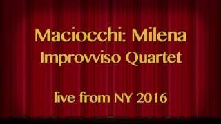 Maciocchi: Milena | live from New York Mandolin Festival | Improvviso Quartet, mandolins guitar