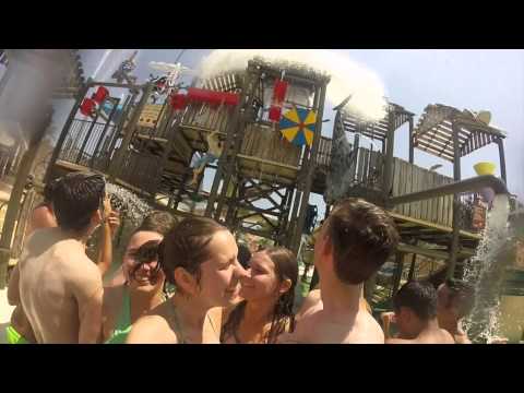 Sort 2015 - Kazou Land van Aalst