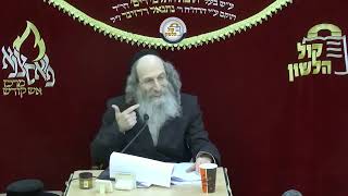 הרב אלימלך בידרמן | 🔴שידור חי - אמונה וביטחון פרשת וארא תשפ"ו (ארגון קול הלשון) - התמונה מוצגת ישירות מתוך אתר האינטרנט יוטיוב. זכויות היוצרים בתמונה שייכות ליוצרה. קישור קרדיט למקור התוכן נמצא בתוך דף הסרטון