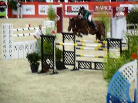 ♥ Harrie Smolder and Exquis Oliver Q (stallion KWPN)