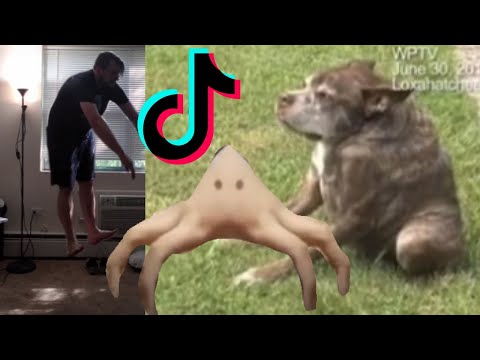 TikTok Everybody Gangsta Until JAH... Compilation