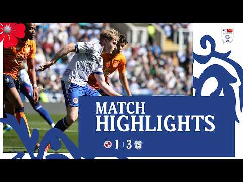 bg-highlight