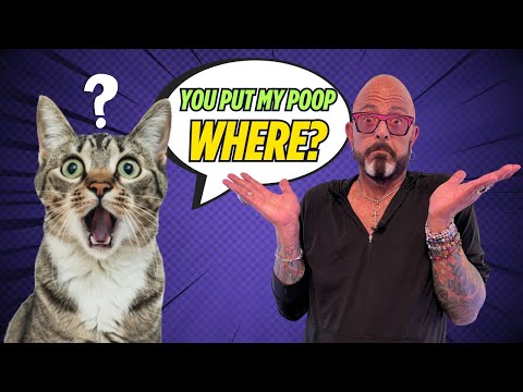 Jackson Asks a Vet Questions You're too Embarrassed to Ask!