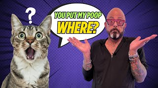 Spaying and Neutering: Optimal Timing, Health Benefits & Care