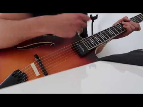 Auf der Riederalm - Erman DSC17 Gitarre