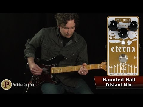 Mr. Black Eterna Gold - Does Hall Reverb