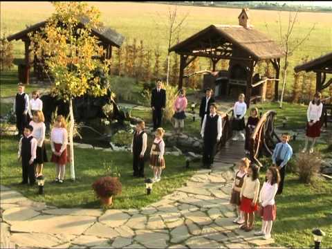 Merg cantand spre casa.mpg