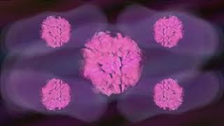The Bright Light Social Hour - She Wanna Love You [Visualizer]
