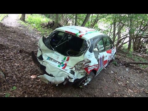 IRCup 21° Rally delle valli cuneesi 2015 + after crash 208