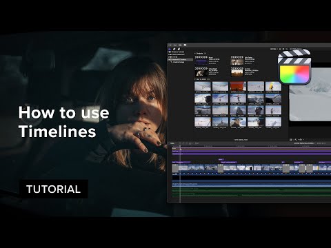 How to use Timelines? — MotionVFX