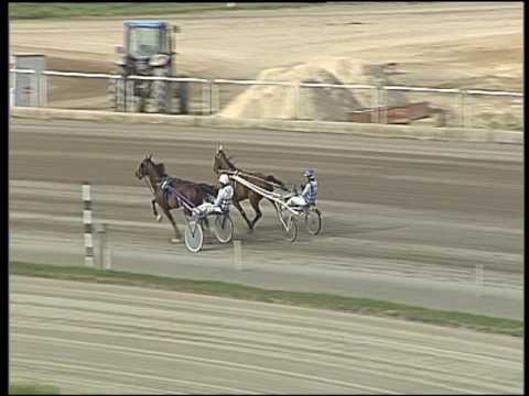 Trotto 13/05/2016 - prova di qualifica