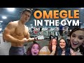 Aesthetics on Omegle (IN THE GYM) + FLEXING IN PUBLIC | CHEST WORKOUT
