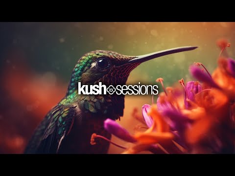 #245 KushSessions (Liquid Drum & Bass Mix)