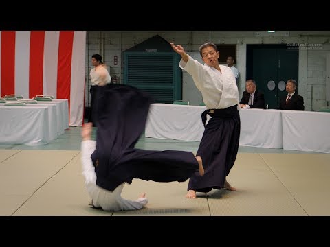 Aikido - Yasuno Masatoshi Shihan - 55th All Japan Aikido Demonstration 2017