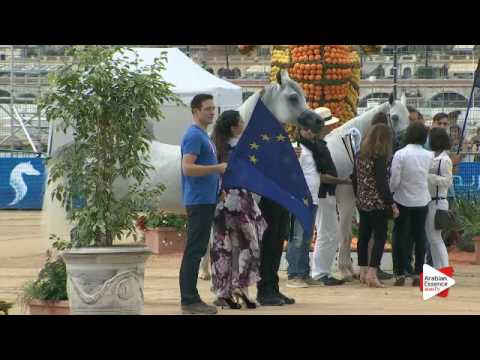 Menton 2016 - Special Awards - Prizegiving - Best European Horse: n. 76